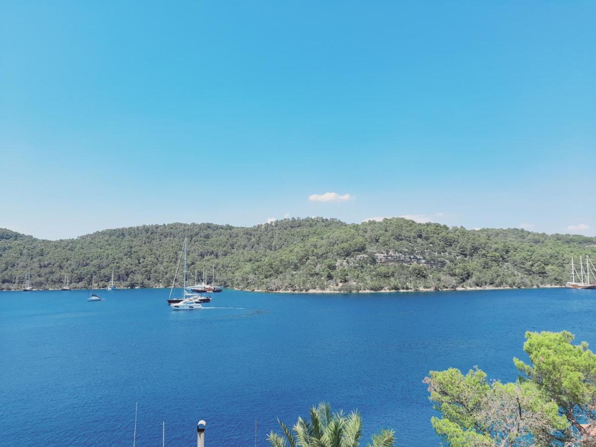 Apartments Sponga Polače المظهر الخارجي الصورة